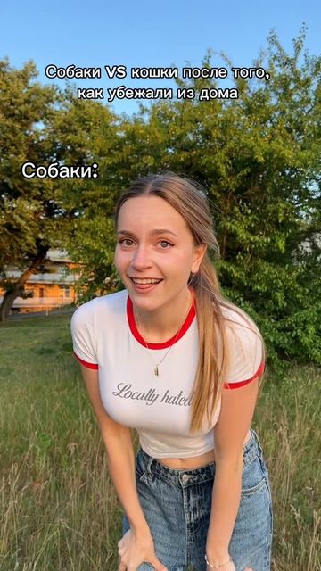 КОШКИ Vs СОБАКИ