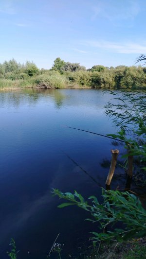 Рыбалка