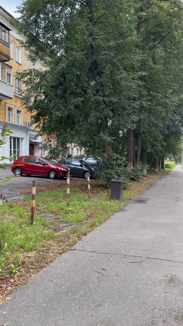 Августовский день в Электростали
