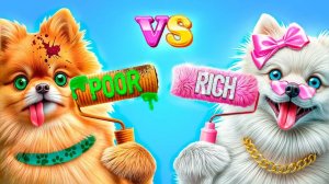 Богатая vs бедная собака! Лайфхаки для владельцев животных