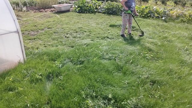 Жизнь в деревне   работаю на огороде покрасила волосы 