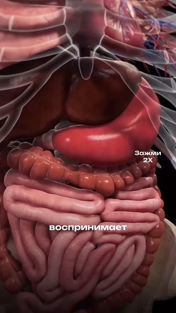 ПОЧЕМУ НЕ СТОИТ ПИТЬ АЛКОГОЛЬ И КАК ОБЪЯСНИТЬ ЭТО БЛИЗКОМУ ЧЕЛОВЕКУ?