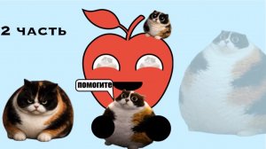 Найди котость 2 часть