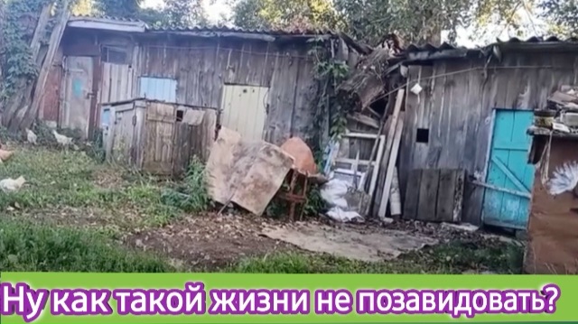 Ну как такой жизни не позавидовать?