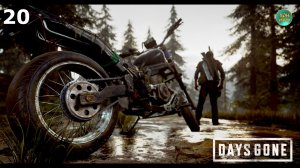 Days Gone - Прохождение -20ч (НОВАЯ ИГРА +)  УРОВЕНЬ СЛОЖНЫЙ - БАНШИ И БУХОЙ БУХАРЬ
