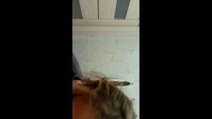 1000021391.mp4