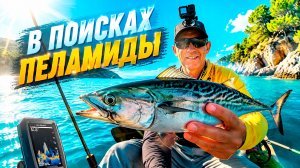 Рыбалка на пеламиду в Чёрном море.  Кабардинка, август 2026