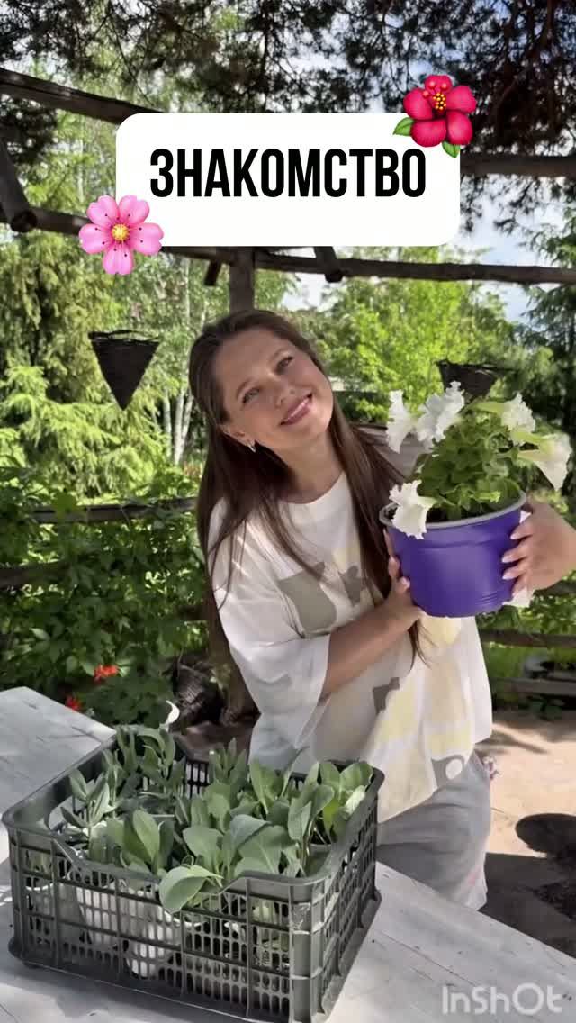 ЗНАКОМСТВА