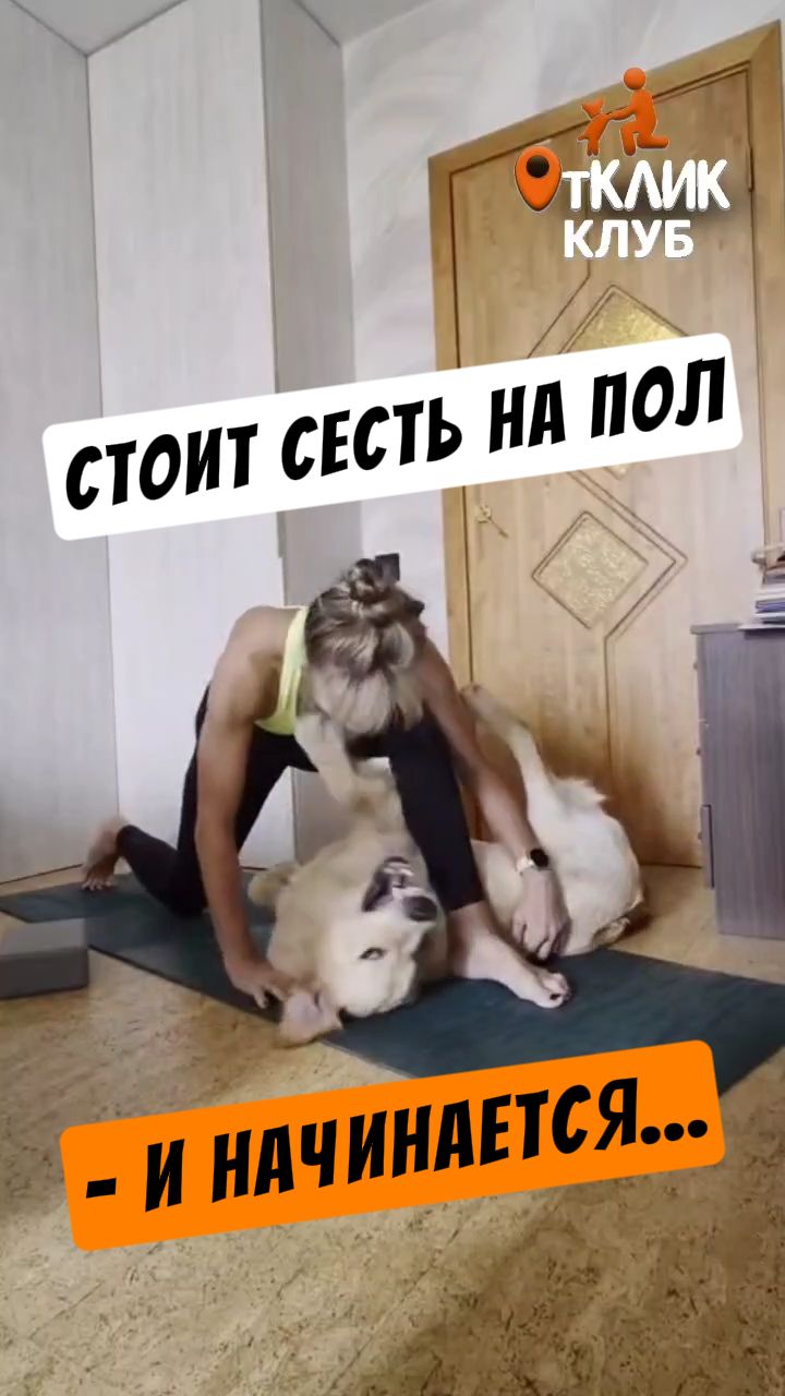 Стоит сесть на пол — и начинается...