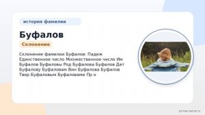 Фамилия Буфалов: происхождение, значение и склонение