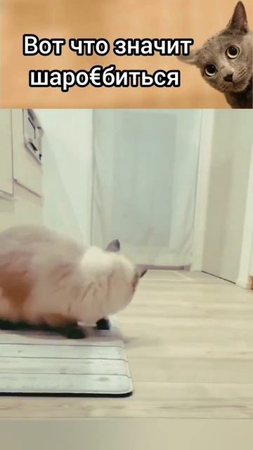 1000003361.mp4