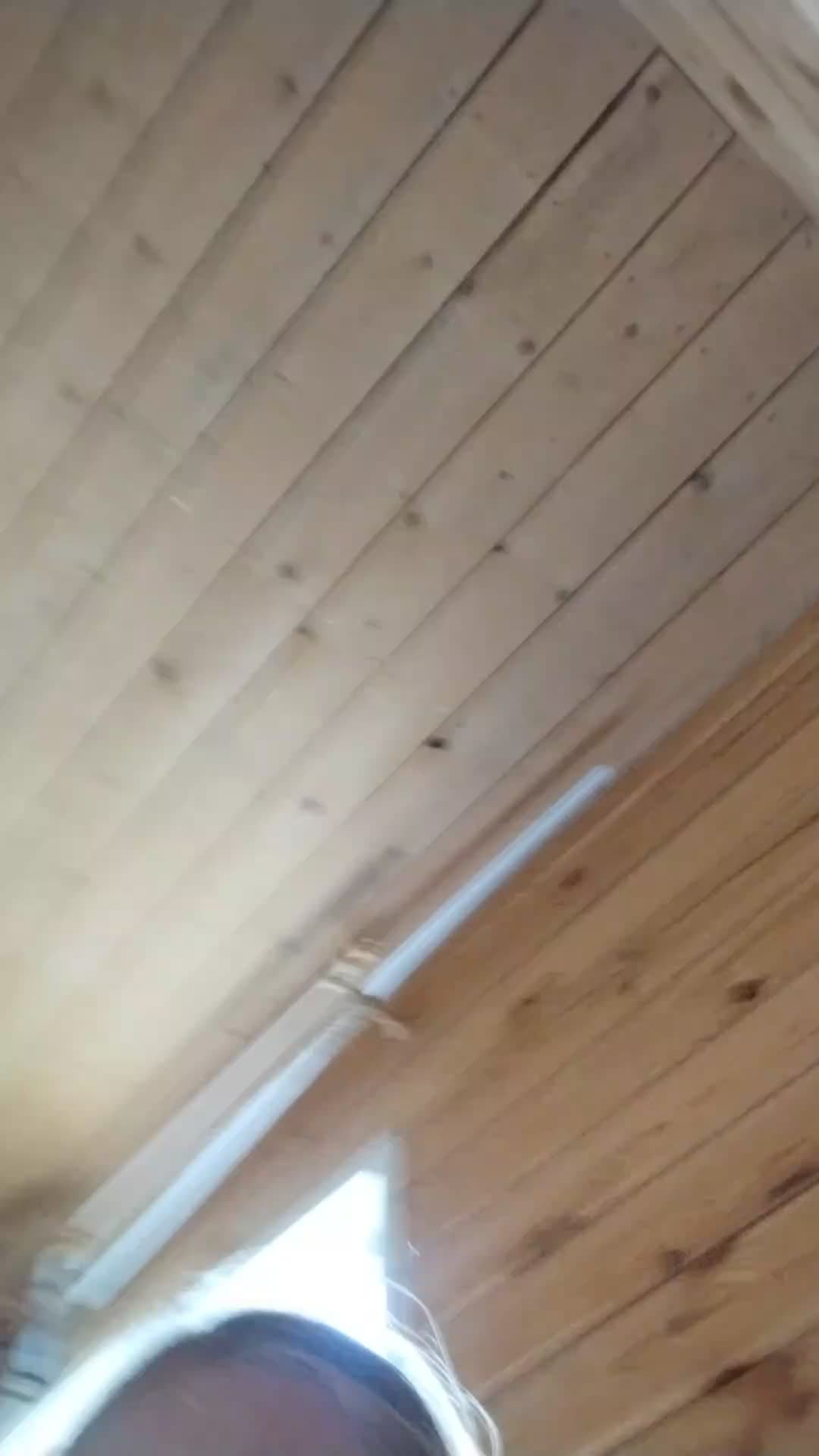 поля