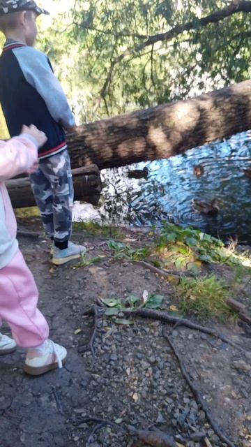 🦆