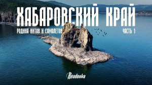 Учиться, работать и жить: почему Хабаровск выбирают для новой жизни