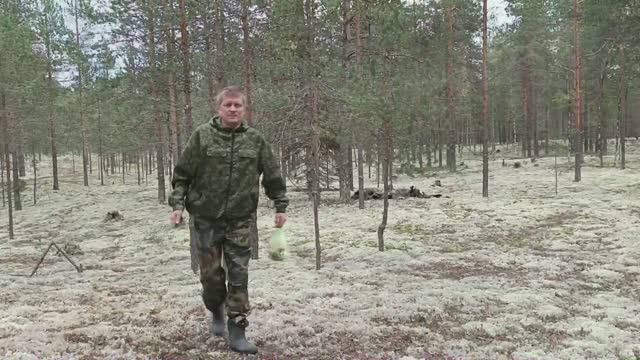 Грибы пошли. Разговоры о разном. Проверяю микрофон.