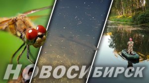 ЩУКА на МИКРОДЖИГ в заросшем травой БОЛОТЕ / Рыбалка в НОВОСИБИРСКЕ.