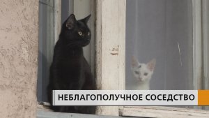 «Заходишь в подъезд — и сразу хочется задержать дыхание», — признаются жители дома в посёлке ЗЯБ