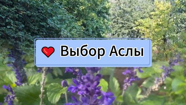 Сердцебиение 10 серия русская озвучка (Турецкий сериал 2025) ｜ Çarpıntı ｜  Обзор