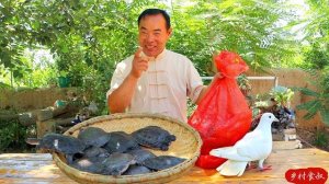 Золотистые черепахи и голуби, тушеные вместе с вкуснейшим соусом. Дядюшка сельский гурман