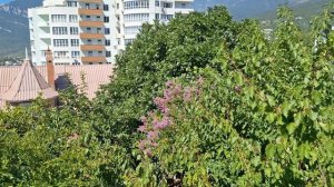 21-08-2026сегодня тихо