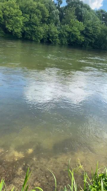Воблер с Ozon: голавль одобряет! 😄🎣  #рыбалка #спиннинг
