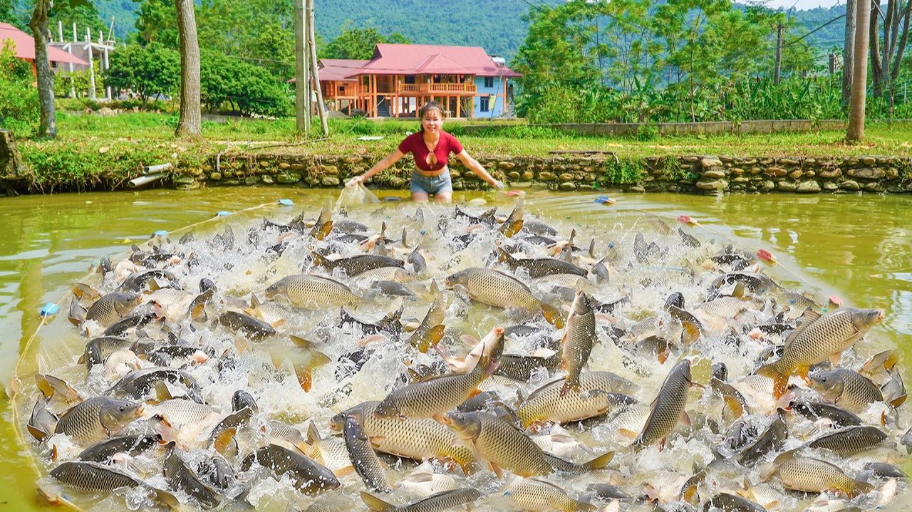 Улов, 100 кг крупной рыбы. Для перевозки рыбы на продажу используем повозку, запряженную лошадьми.