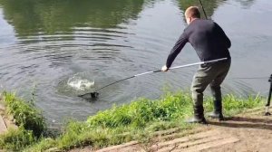 Снова Карпуша