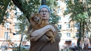 Воспитание стрижа