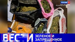 Вести Санкт-Петербург. Выпуск 08.00 от 22.08.2026