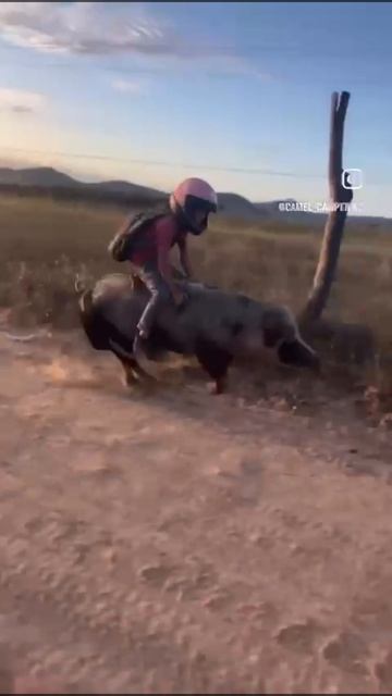 захотел квадроцикл🤣😂