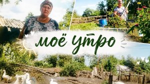 Моё утро☕