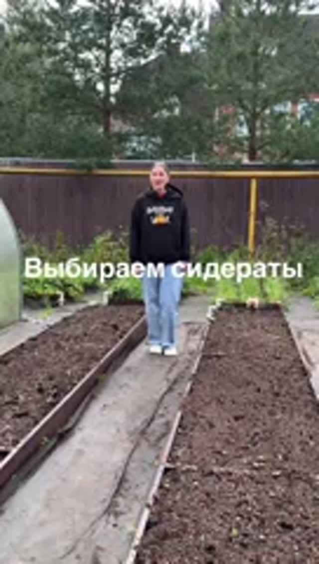 Выбираем сидераты