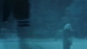 Secret service- Flash in the night - 1982 г.