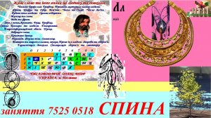 заняття 7525 0518 СПИНА