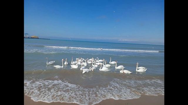 Влог.Море позитива 🌊 ☀️💦 #влог #море #пляж