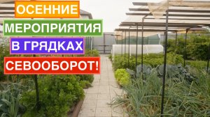 Важно сделать это в грядках в конце сезона! Готовим сани с лета - версия садоводов!
