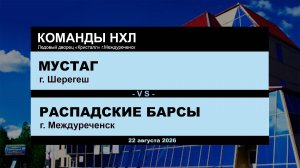 Мустаг - Распадские Барсы