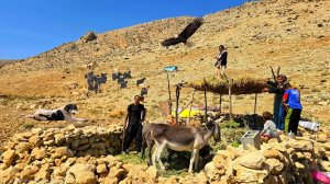 ⛰️Трудные этапы подготовки к переезду | Жизнь кочевой семьи в горах Загрос 🏕️🐑