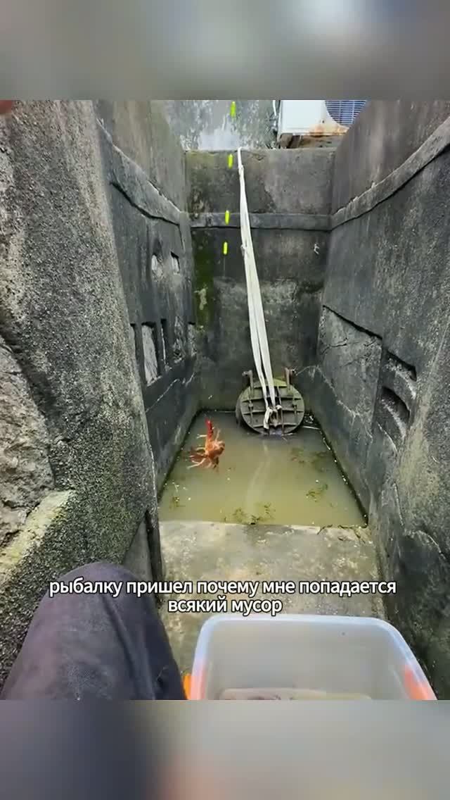 Много рыбы и много поклевок в сточной канализации! 😱