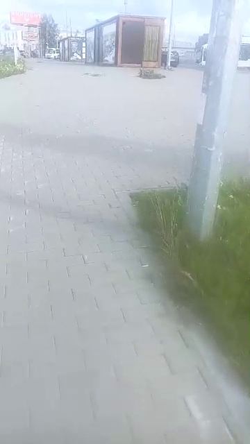 Стрим в городе всем привет