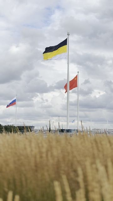 С Днём Государственного флага Российской Федерации!