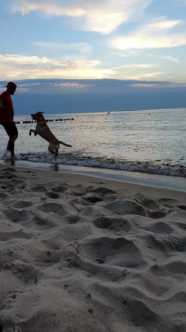 🐕