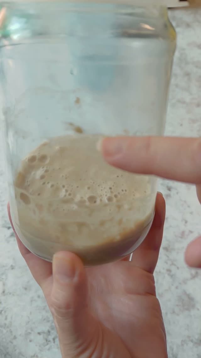 Пятый день (утро) мастер-класса по выведению хлебной закваски #sourdough  #кучеряваясветлана