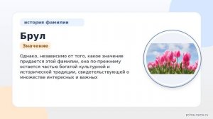 Фамилия Брул: происхождение, значение и склонение