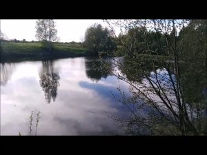 ✔Щука на живца🎣 Рыбалка на колхозном пруду💧✔