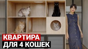 ВАЛЯ СНОВА ПРОДУМАЛА ВСЁ: кошачья гостиная, 2 кабинета, умный дом и зимний сад