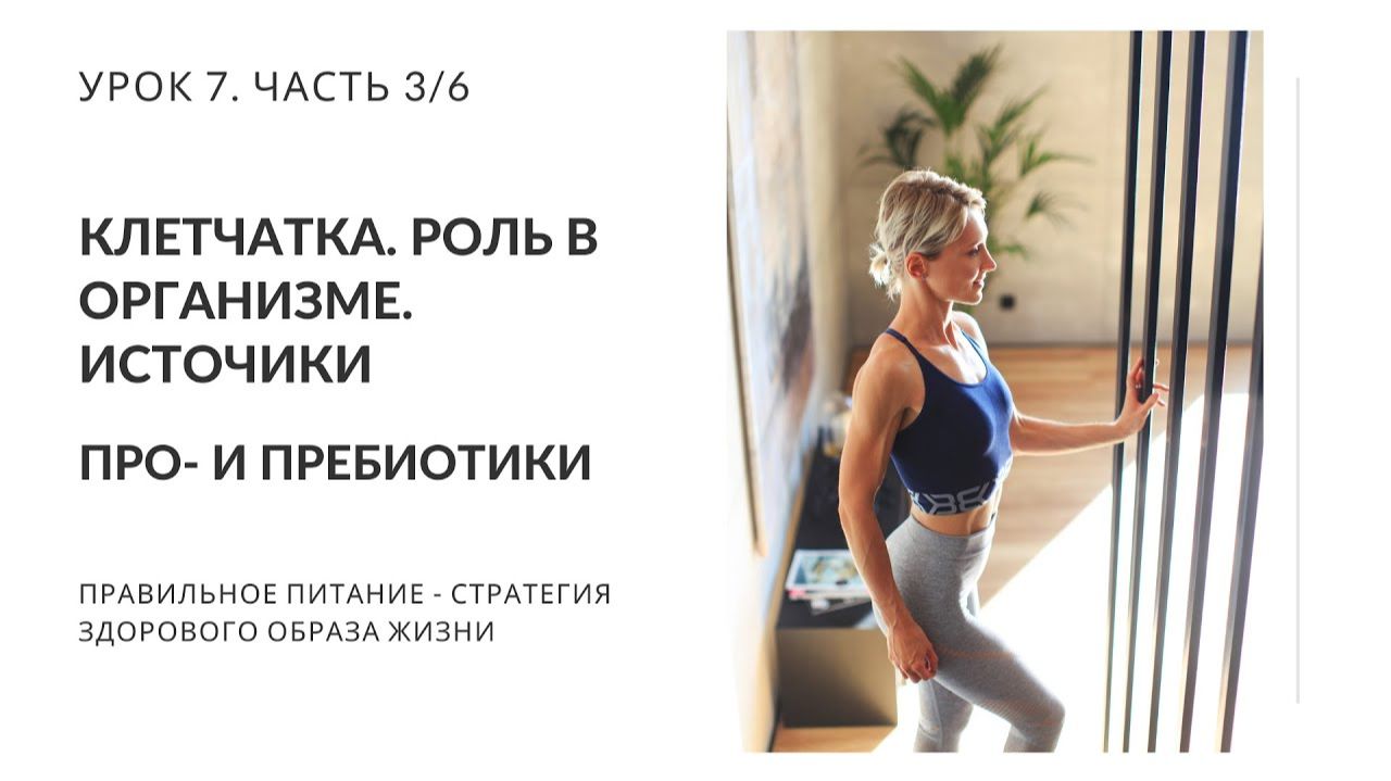 Клетчатка: роль в организме. Источники. Про- и пребиотики. Избыток клетчатки. Урок 7. Часть 3 6 (2)