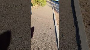 1000008265.mp4