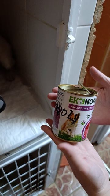 Малыш Крош борется за жизнь. Ежедневно обрабатывают множественные раны