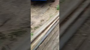 мне пофиг я матерюсь